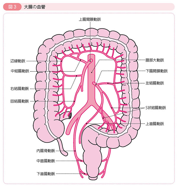 癌 s 状 結腸