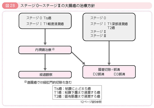 図28	ステージ0～ステージIIIの大腸癌の治療方針