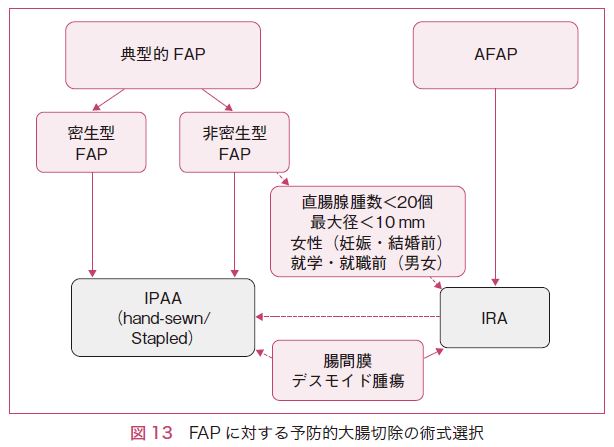 項目 観察 縫合 不全