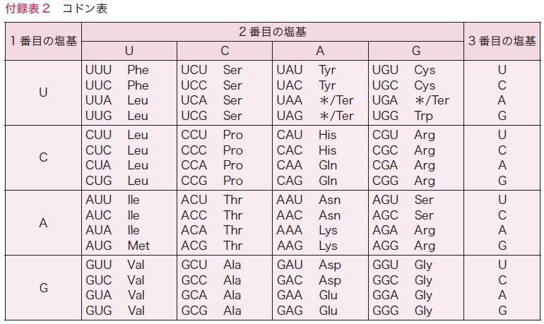 付録表2　コドン表