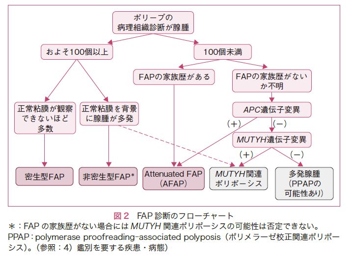 図2　FAP診断のフローチャート