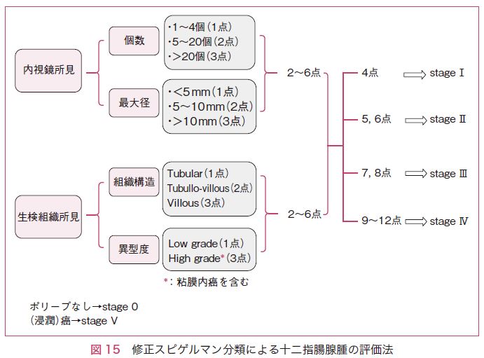 図15　修正スピゲルマン分類による十二指腸腺腫の評価法