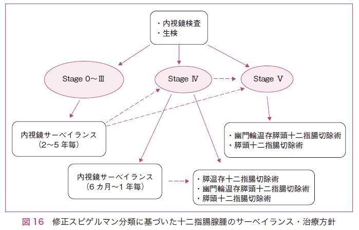 図16　修正スピゲルマン分類に基づいた十二指腸腺腫のサーベイランス・治療方針