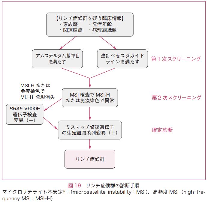 図19　リンチ症候群の診断手順