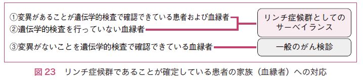 図23　リンチ症候群であることが確定している患者の家族（血縁者）への対応