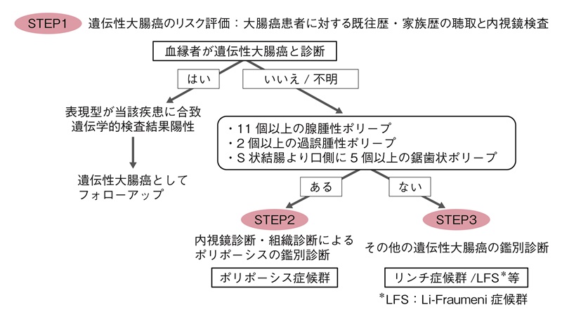図4 遺伝性大腸癌のリスク評価