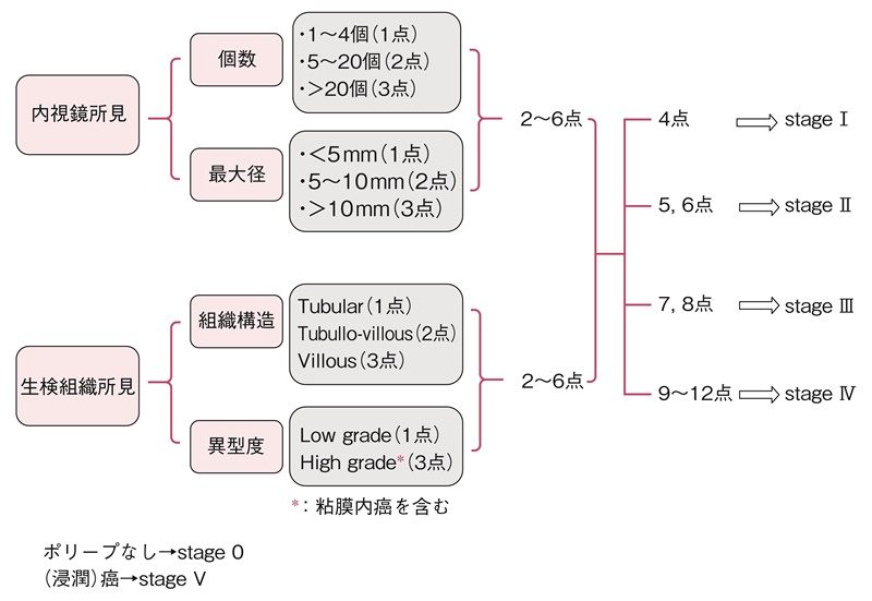 図12 修正スピゲルマン分類による十二指腸腺腫の評価法