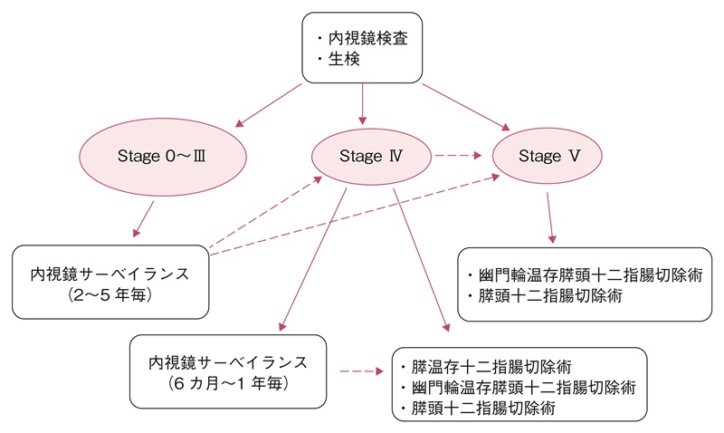 図13　修正スピゲルマン分類に基づいた十二指腸腺腫のサーベイランス・治療方針