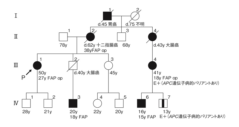 図19　FAPの家系図記載例（記載方法の要点は付録：家系図の書き方・読み方の原則参照）