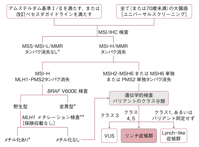 図21　リンチ症候群の診断手順