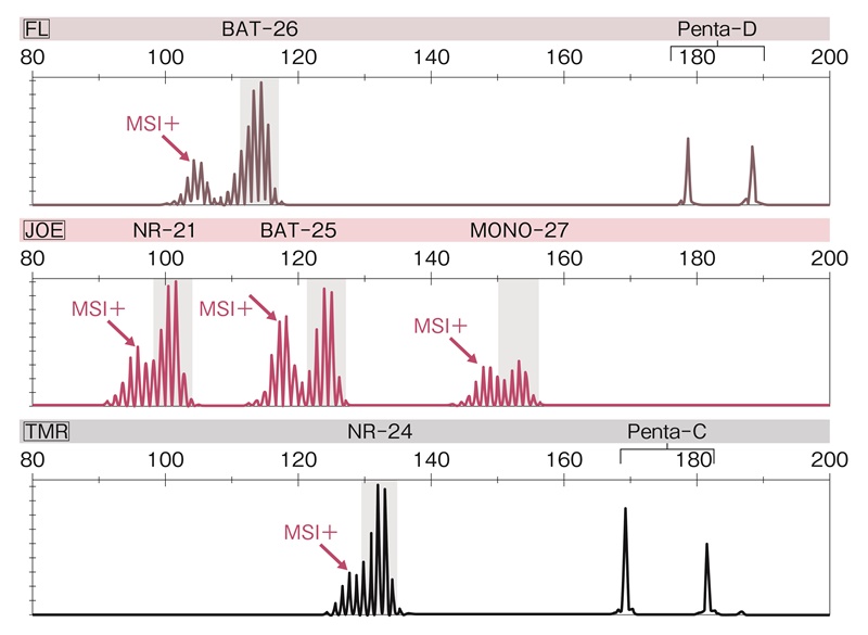 図24　プロメガパネルを用いたMSIの解析例