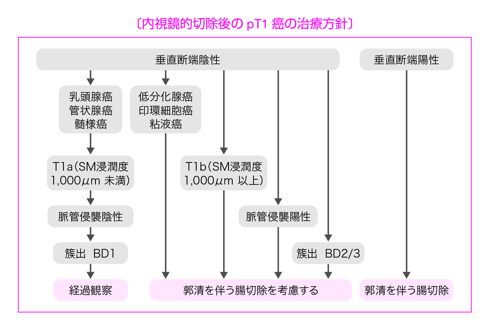 内視鏡的切除後のpT1癌の治療方針