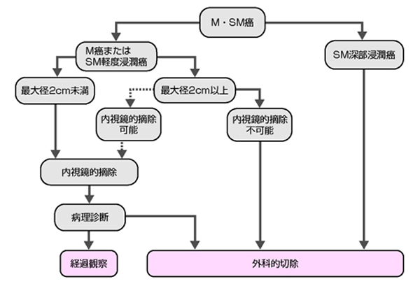 cM癌　cSM癌の治療方針