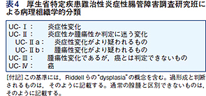 厚生省特定疾患難治性炎症性腸管障害調査研究班による病理組織学的分類