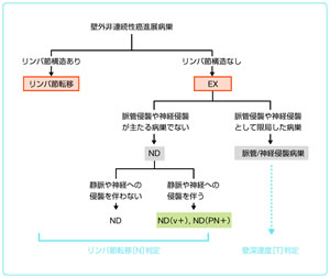 図2　壁外非連続性進展病巣の診断フローチャート